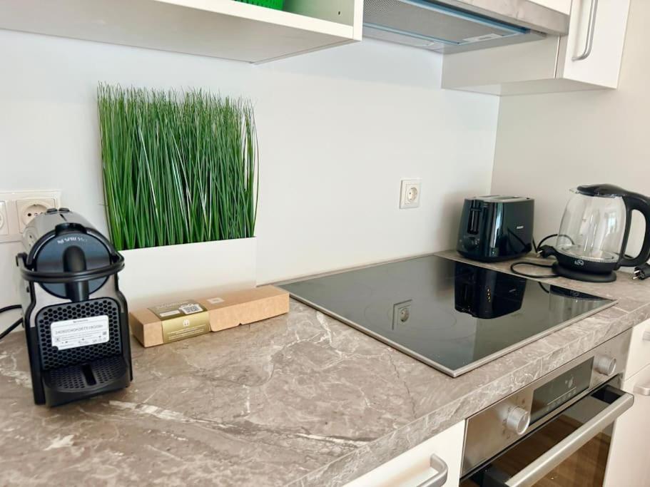 Apartment Rooftop With Balcony & Free Parking Wien